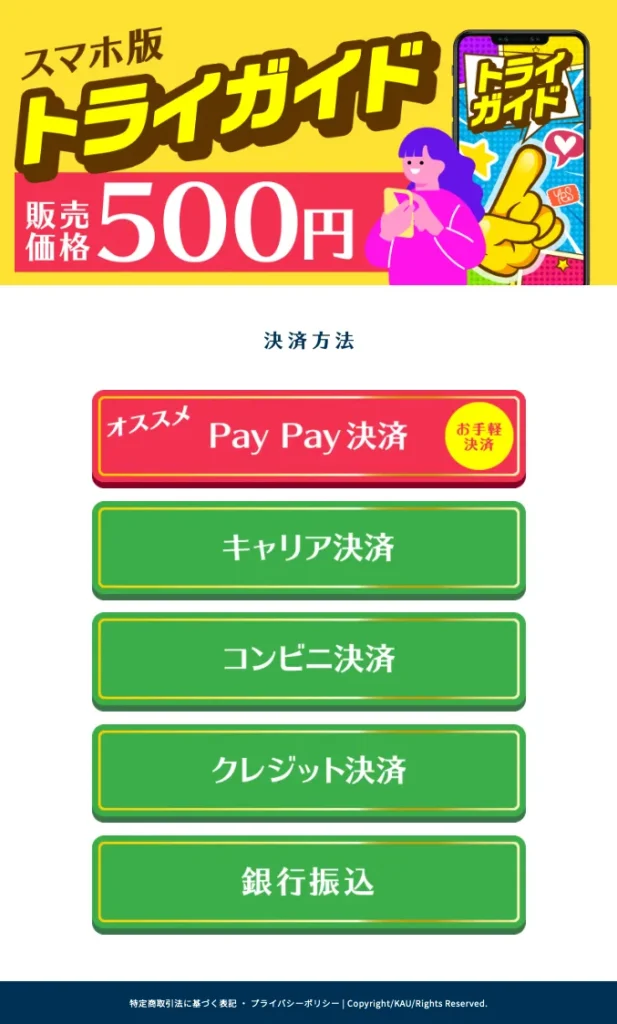 株式会社KAUの副業でスマホ版トライガイド500円の販売価格と決済方法が表示されている画面