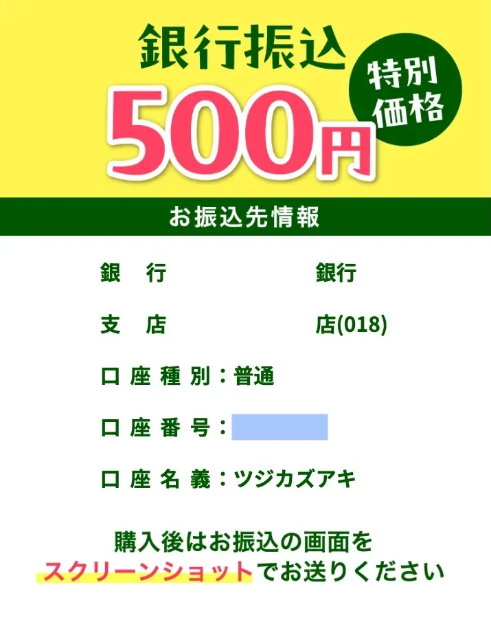 株式会社LIONのスキップガイド500円を銀行振込で購入する際の振込先情報が表示され、購入後に振込画面のスクリーンショット送付を求めている画面