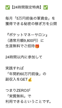 ZEROのLINE配信で24時間限定特典としてポケットマネーサロン通常月額9800円を生涯無料招待し年間約60万円前後の副収入を案内している調査資料