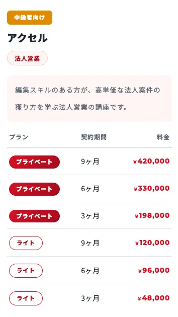 株式会社ブイストの公式料金表でアクセル講座ライト3ヶ月48,000円と表示された実際の料金画面