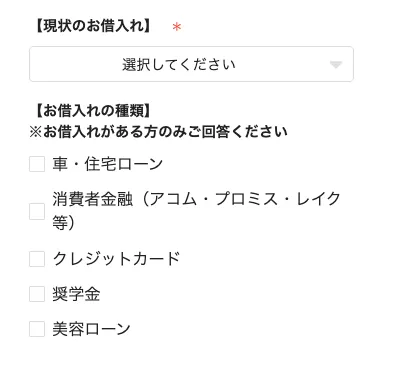 株式会社ライフの副業アンケートで年収や借入状況、消費者金融、クレジットカード利用を質問する画面