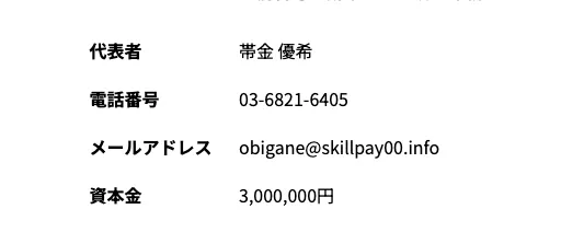 株式会社ライフの会社概要にskillpayを含むメールアドレスが記載された画面