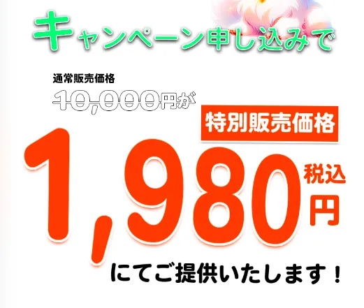 株式会社マスタリティのBOCサポートガイドを通常価格1万円から特別価格1,980円で販売する案内ページ