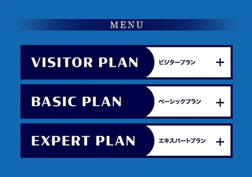 株式会社MUSEの副業でトライガイド500円後に案内された料金形態ページ